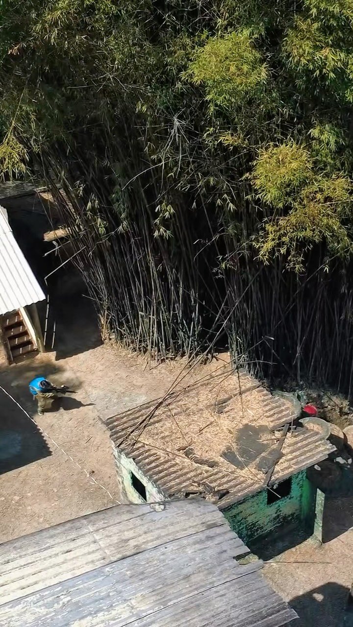 Vídeo de jogo no Instagram da Adrena